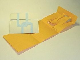 pY
